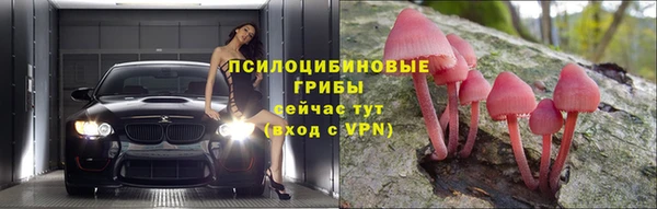 индика Корсаков