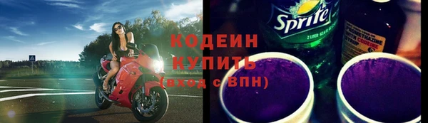 шишки Козельск