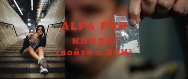индика Корсаков
