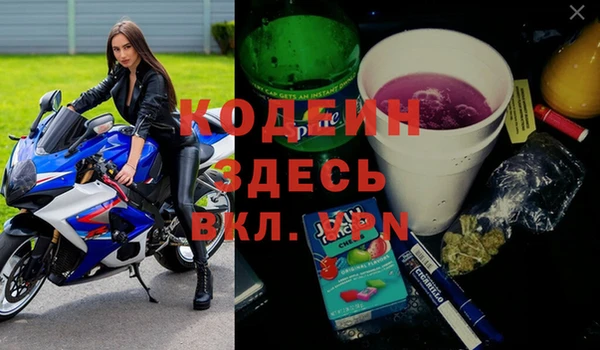 индика Корсаков