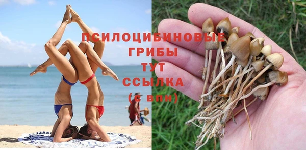 индика Корсаков