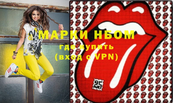индика Корсаков