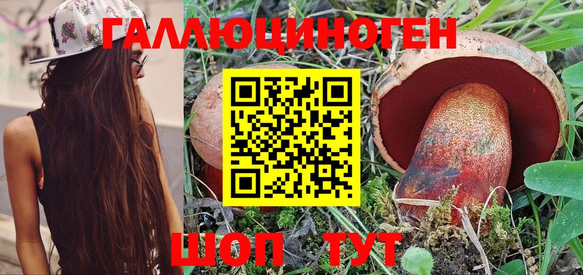 Псилоцибиновые грибы Psilocybine cubensis Фрязино
